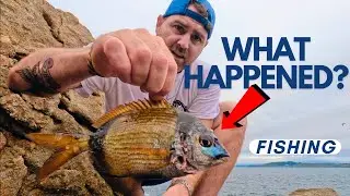 FISHING AROUND THE ROCKS - I NEVER EXPECTED THAT!