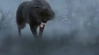 The Mountain Road Mystery: Encounter with the Demon Dogs