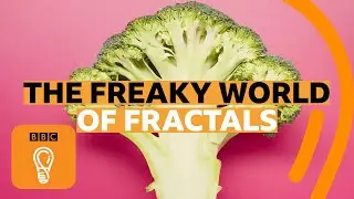 How fractals can help you understand the universe | BBC Ideas