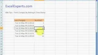 ExcelExperts.com - VBA Tips - Track Changes By Adding A Time Stamp