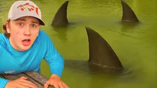I Found a Pond INFESTED with Monster Sharks!