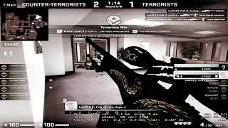 Nice shot