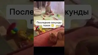 The cat saw all 9 lives flash before his eyes