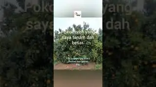 Malay words in 30 sec: BESAR (big)