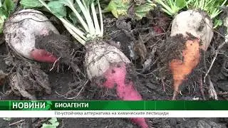 БИОАГЕНТИ: По-устойчива алтернатива на химическите пестициди