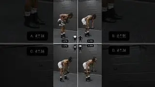 dumbbell only back day workout