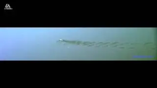 EPIC Stone Skipping World Record