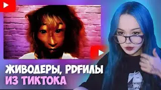 БЕБРИНА СМОТРИТ serezha168: ЧТО СКРЫВАЕТ ТИКТОК [vol. 1] // Живодёры, PDFилы, Инвалиды
