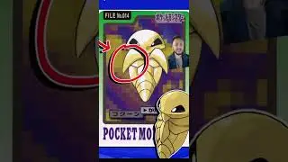This Official Pokémon Art Was…Wild