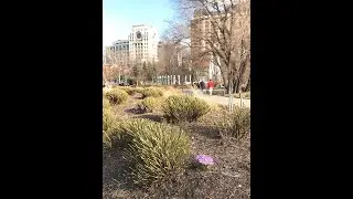 #6 || Весенний марафон 2020 || #5мгновенийвесны