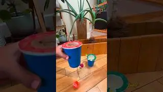 Fun DIY Kids Game: Swing the Ball into the Cup Challenge 🏀  