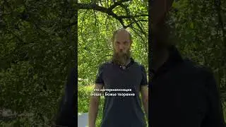 Как выйти из матрицы?