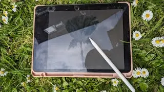 Learn and Draw  watercolor tutorial on procreate/procreate tutorial/watercolor tutorial