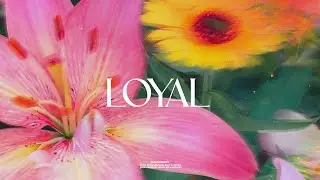 (FREE) Tems x Afrobeat Type Beat -