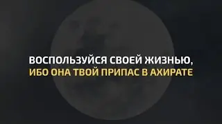 Воспользуйся своей жизнью, ибо она твой припас в Ахирате