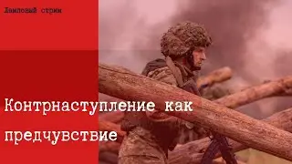 Контрнаступление как предчувствие (Лиза Смирнова, Алексей Сахнин)