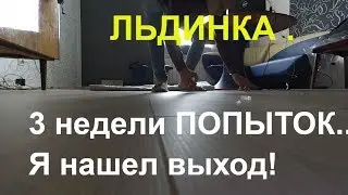 Набивал ЛЬДИНКОЙ  и всегда она ....Ну через 3 недели попыток. Получится или нет ? СМОТРИ ЧТО ВЫШЛО.