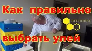 Улей ППУ  Как правильно выбрать