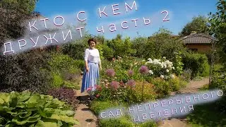Who's Friends with Whom Part 2 I The Garden of Continuous Bloom