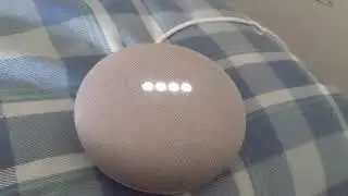 Are you feeling lucky minigame (google assistant/Google home)