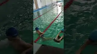 Чемпіони на плаванні