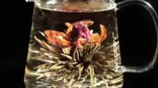 Teaposy® - Blooming Posy Teas