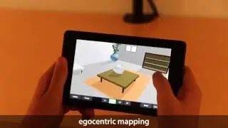 Preference Between Allocentric and Egocentric 3D Manipulation in a Locally Coupled Configuration
