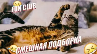 ✅✅✅ ЛУЧШИЕ ПРИКОЛЫ ЗИМЫ  2022/ ПОПРОБУЙ НЕ ЗАСМЕЯТЬСЯ / ПРИКОЛЫ /CМЕШНЫЕ ЖИВОТНЫЕ /10 МИНУТ СМЕХА😂😂😂