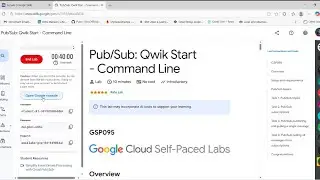 Pub/sub quick Start command line 
