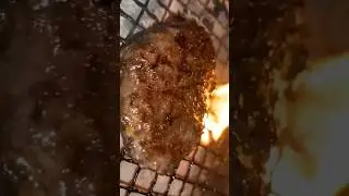 Wagyu Hamburg【Solo Camping】