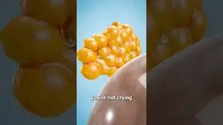 Why we cry 🤔