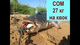 Сом на квок в Подмосковье. Град в июле.