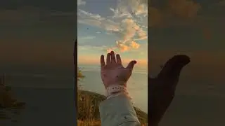 Они не кусаются