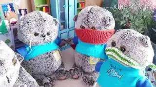 ТИПЫ БАСИКОВ НА КАРАНТИНЕ🦠
