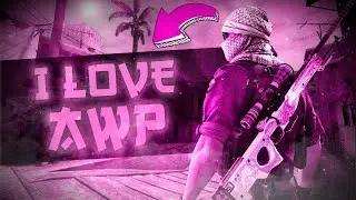 PANICX, SH3TLVIZ-Kusher