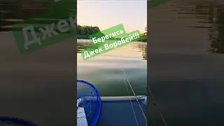 Пираты Нижнего Дона!)))) #fishing #fishmir #shorts #шортс #фишмир #рыбалка #рыбалкадон #рекадон