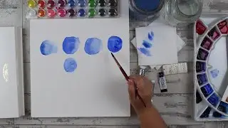 Watercolor Quality Comparison - What you should look for!