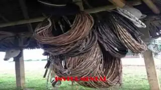 | INSTRUMENTAL LLANERO NUEVO 2015 |