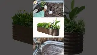 My New Raised Garden Bed #seedtolife