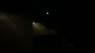 Олег Вінник Вовчиця