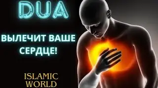 Бальзам не сердце, Дуа Которое Лечит Сердце!