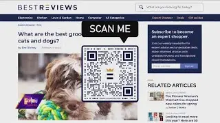 Top dog treats and grooming products with BestReviews