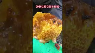 Honey on the Cliff