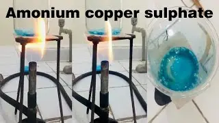 Preparation of Ammonium Copper Sulfate | Chemistry practical | अमोनियम कॉपर सल्फेट की तैयारी |