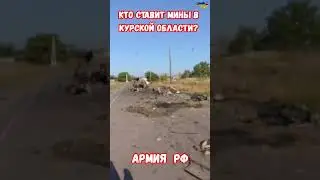 Кто ставит мины ТМ-62 в Курской области? Армия РФ или Ахмат #армиярф #война #приколы #курскаябитва