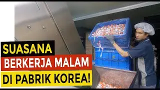 Review Pabrik Baru di Korea | Suasana Kerja Malam Di Korea