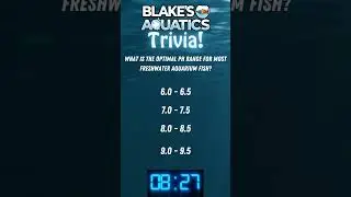 Blakes Aquatics Trivia 1  