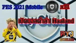 เปิดแพ็คบอลดำ ล่าHaaland