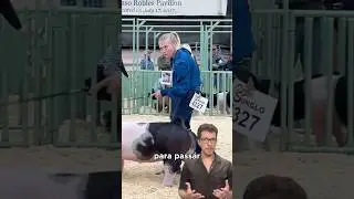 Why do they keep staring at the judge? 🤔