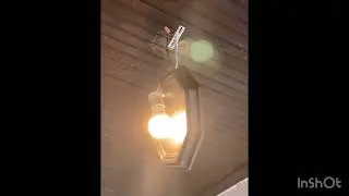 Brand New Porch Light Installed BEFORE & AFTER VIDEO Remodel & UPGRADE